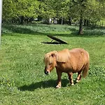 Mobil Climatise, 2 Ch, 5 Pers, Wifi 30 Mn Du Grand Parc D'attraction Puy Dufou *