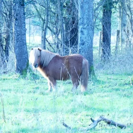 Lejlighed Mobil Climatise, 2 Ch, 5 Pers, Wifi 30 Mn Du Grand Parc D'attraction Puy Dufou La Boissiere-de-Montaigu