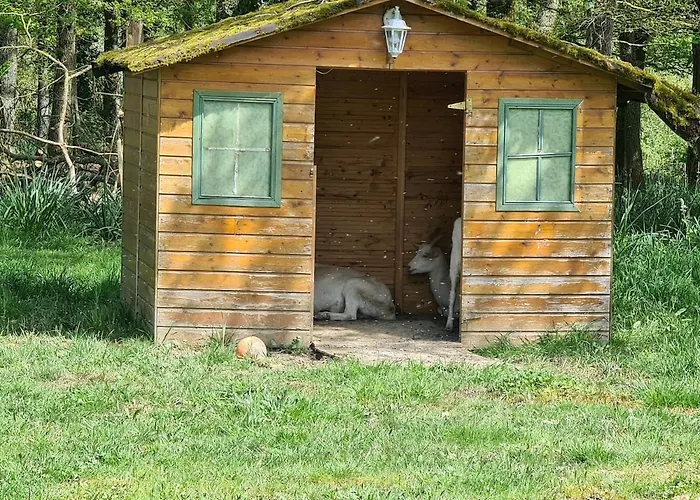 Mobil Climatisé, 2 Ch, 5 Pers, Wifi 30 Mn Du Grand Parc D'attraction Puy Dufou La Boissiere-de-Montaigu