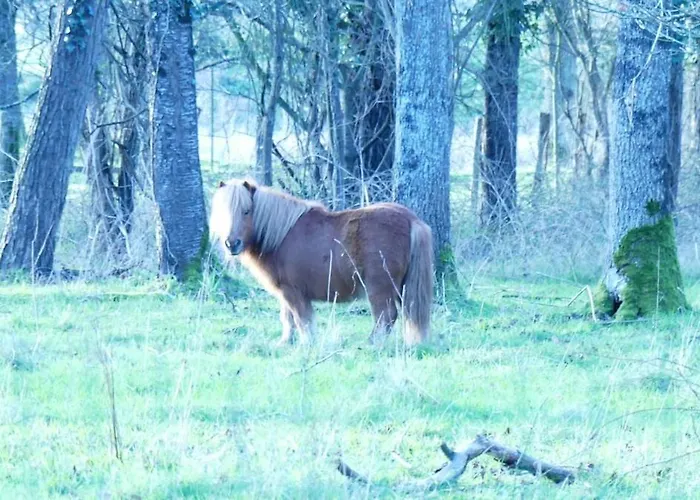 Appartement Mobil Climatisé, 2 Ch, 5 Pers, Wifi 30 Mn Du Grand Parc D'attraction Puy Dufou La Boissiere-de-Montaigu