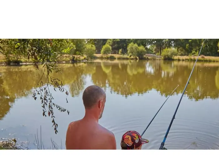 Mobil Climatisé, 2 Ch, 5 Pers, Wifi 30 Mn Du Grand Parc D'attraction Puy Dufou * La Boissiere-de-Montaigu
